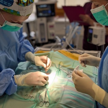 Operation
